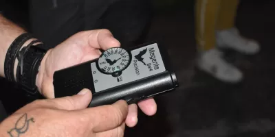 I pipistrelli, signori della notte