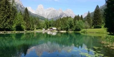 Salti, nuoti e voli