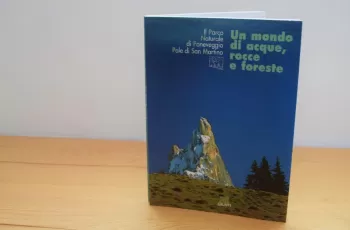 parco-naturale-di-paneveggio-pale-di-san-martino-un-mondo-di-acque-rocce-e-foreste-giunti.jpg