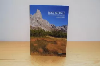 parco-naturale-di-paneveggio-pale-di-san-martino-un-viaggio-per-immagini-idesia.jpg